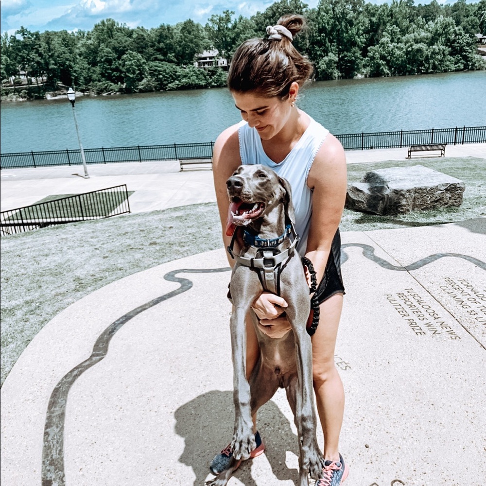 Meet your Posher, Autumn